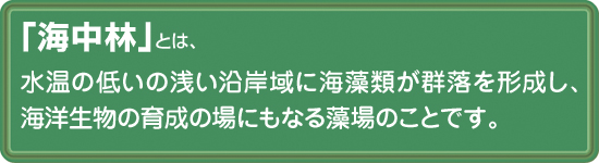 海中林とは