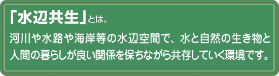 水辺共生とは